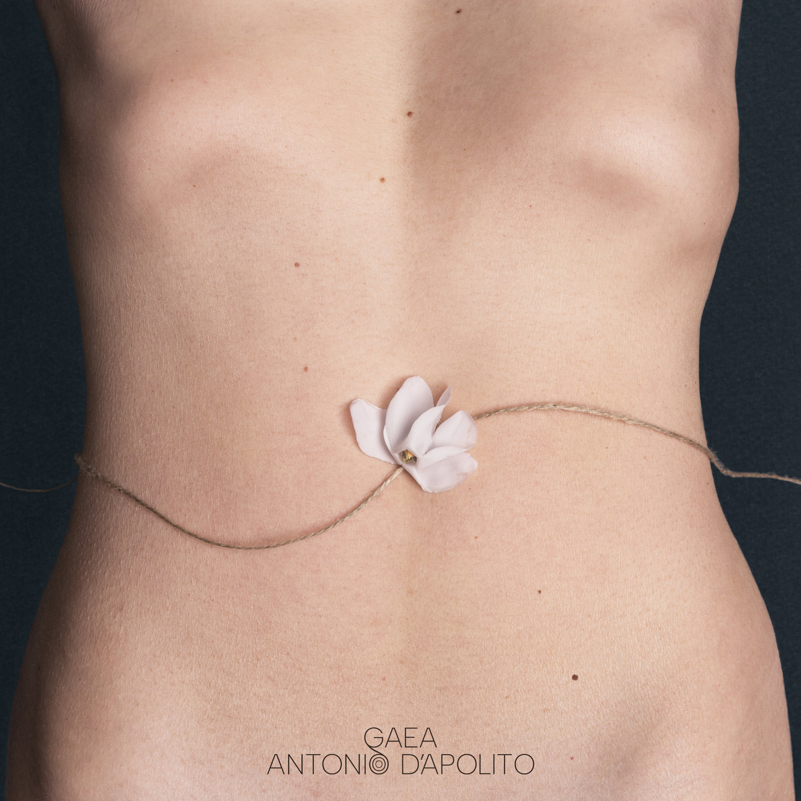 GAEA di Antonio DìApolito.